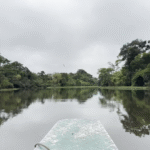 What It’s Like to Spend 5 Days in the Amazon Rainforest