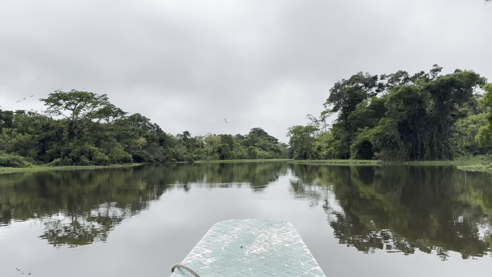 Read more about the article What It’s Like to Spend 5 Days in the Amazon Rainforest